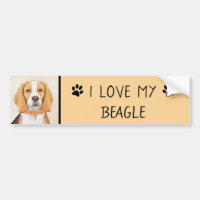 Beagle Hound Dog Painting Original Animal Art