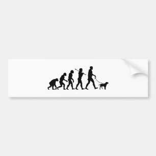 Adesivo Para Carro Beira Terrier
