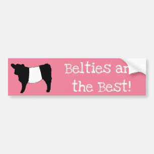 Adesivo Para Carro Belties are The Best Gorgeous Belted Galloway Cow