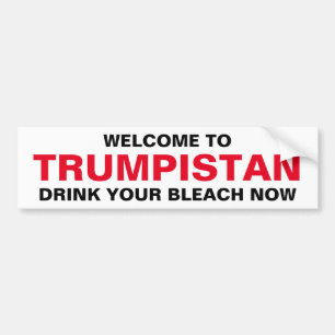 ADESIVO PARA CARRO BEM-VINDO AO TRUMPISTAN