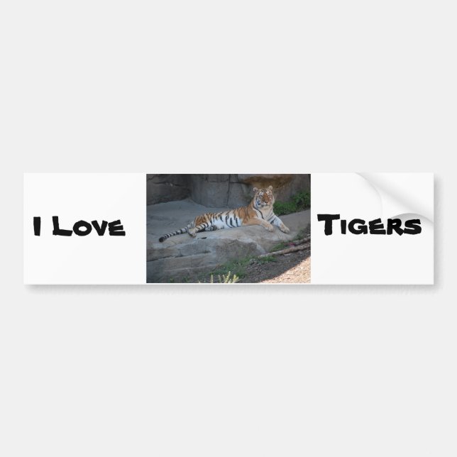 Adesivo Para Carro Bengal Tiger Love (Frente)