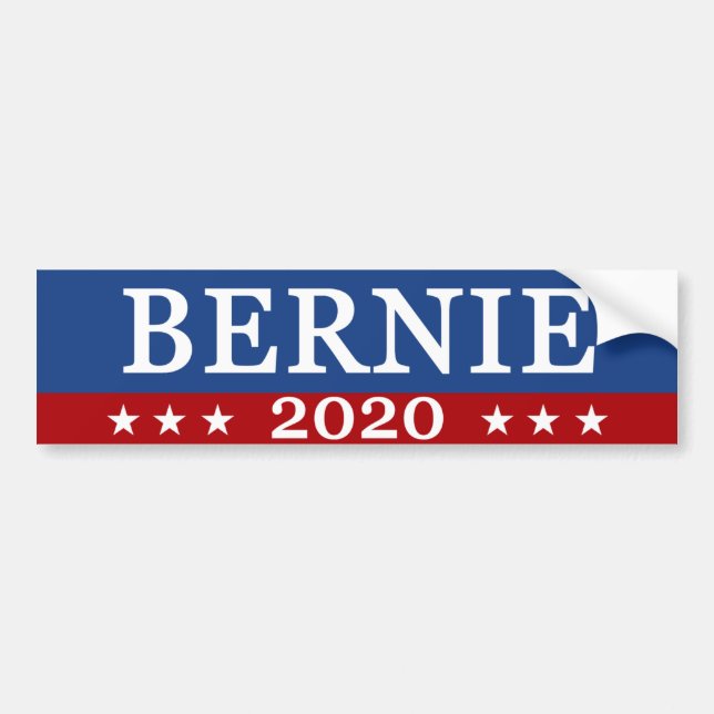 Adesivo Para Carro Bernie 2020 (Frente)