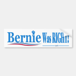 Adesivo Para Carro Bernie Tinha Razão