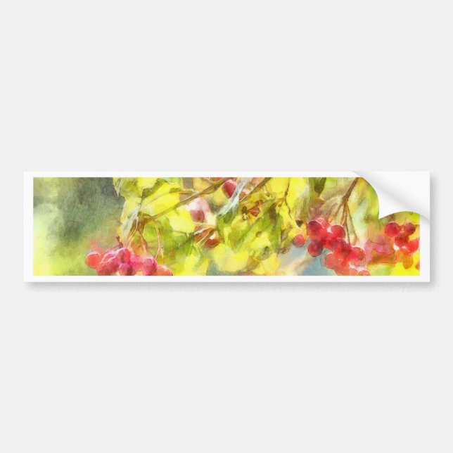 Adesivo Para Carro Berries Watercolor (Frente)