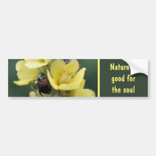 Adesivo Para Carro Besouro Na Flor De Verbasco Natureza Boa Para A Al