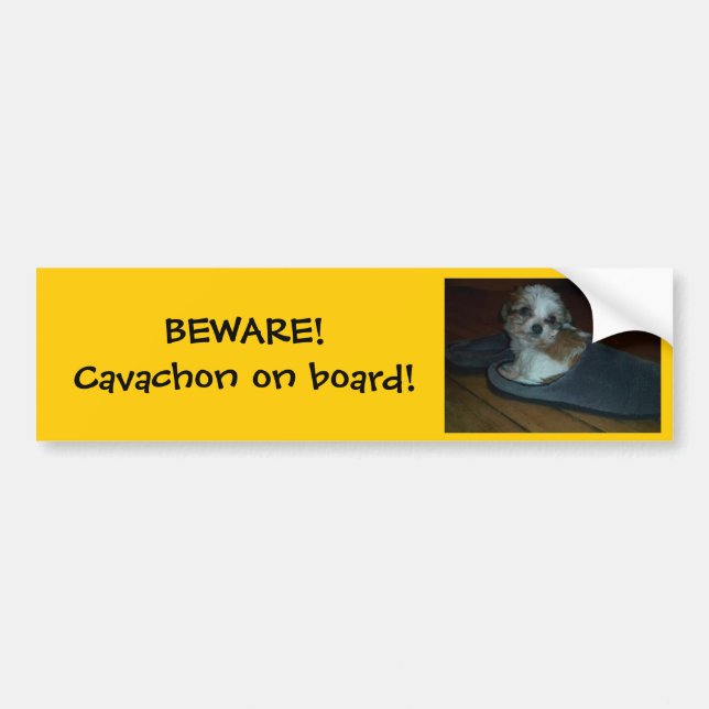 Adesivo Para Carro BEWARE! Cavachon a bordo! Etiqueta abundante (Frente)