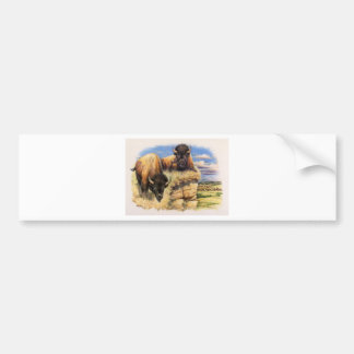 Adesivo Para Carro Bisonte alto das planícies