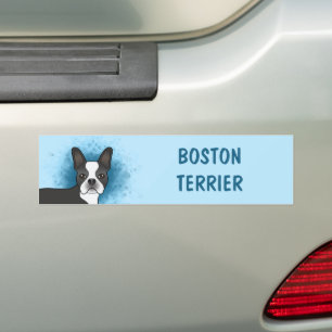 Adesivo Para Carro Black Boston Terrier Cartoon Dog On Blue & Text