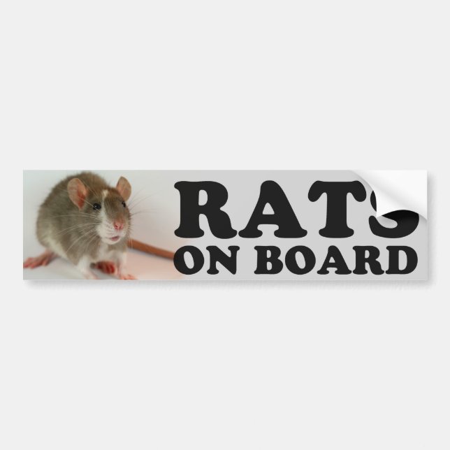 Adesivo Para Carro (Blazed) Ratos ele board (Frente)