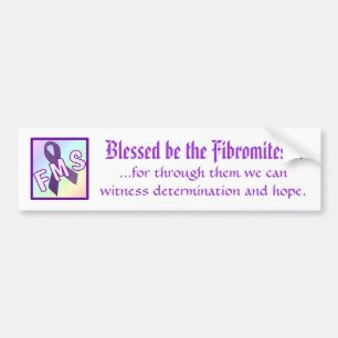 Adesivo Para Carro Blessed seja o Fibromites
