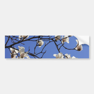 Adesivo Para Carro Blooming Magnolias