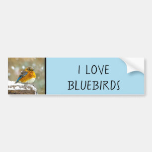 Adesivo Para Carro Bluebird oriental na neve - Foto original