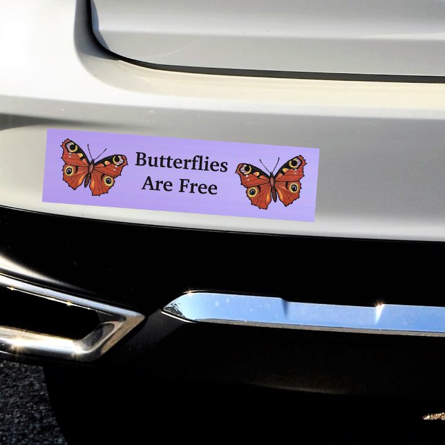 Adesivo Para Carro Borboleta Monarca Vívida bonito Roxo (two pretty monarch butterflies in Autumn colours on purple bumper sticker for your car.)