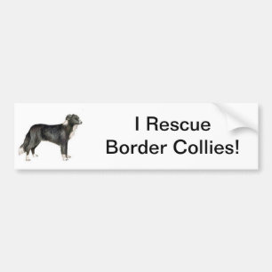 Adesivo Para Carro Border collie