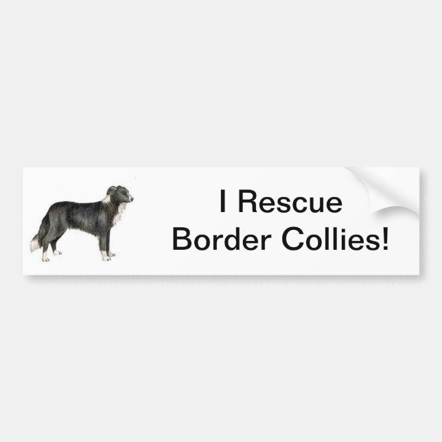 Adesivo Para Carro Border collie (Frente)