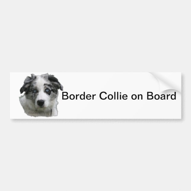 Adesivo Para Carro Border collie (Frente)