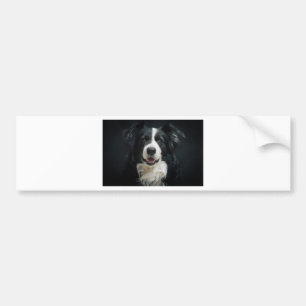 Adesivo Para Carro border collie