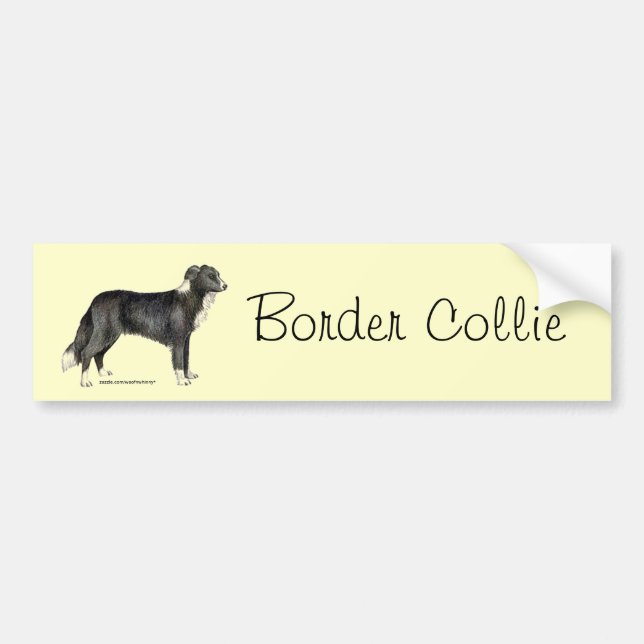 Adesivo Para Carro Border collie (Frente)