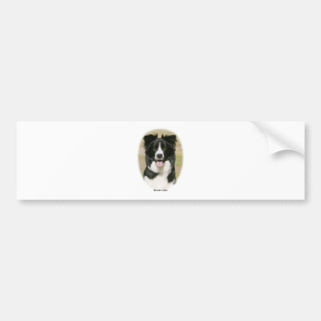 Adesivo Para Carro Border collie 9Y411D-009 (Frente)