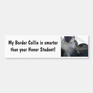 Adesivo Para Carro Border collie esperto