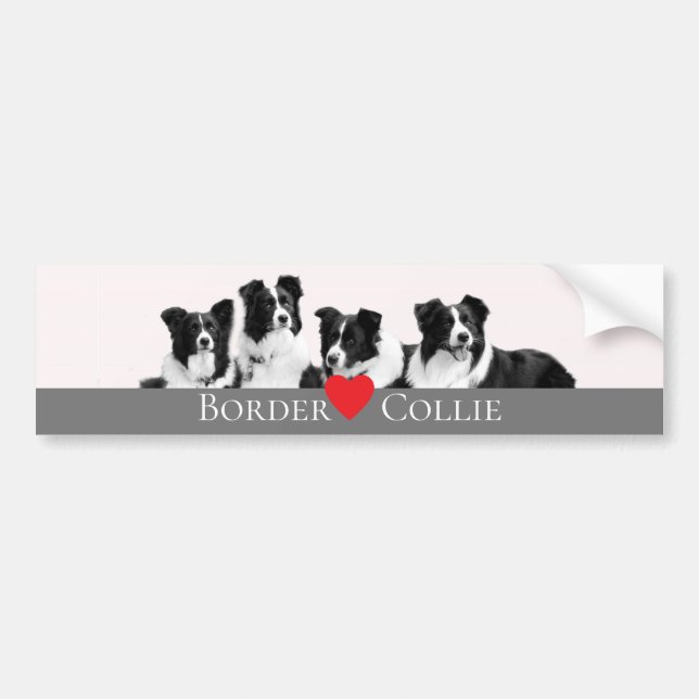 Adesivo Para Carro Border Collie Love (Frente)