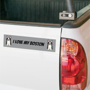 Adesivo Para Carro Boston Terrier