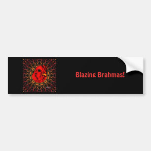 Adesivo Para Carro Brahma Blascinante