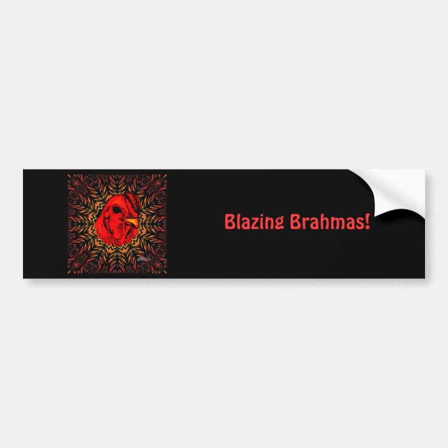Adesivo Para Carro Brahma Blascinante (Frente)