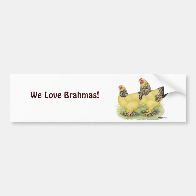 Adesivo Para Carro Brahma Buff Pair (Frente)