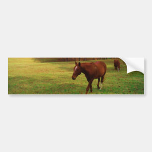 Adesivo Para Carro Brown Horse in a Rainbow colored field