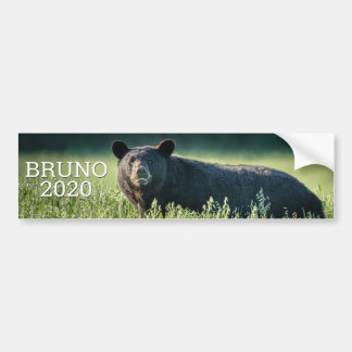 Adesivo Para Carro Bruno 2020 Bumper Sticker