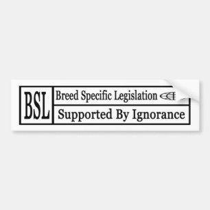 Adesivo Para Carro bsl
