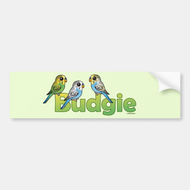 ADESIVO PARA CARRO BUDGIE (Frente)