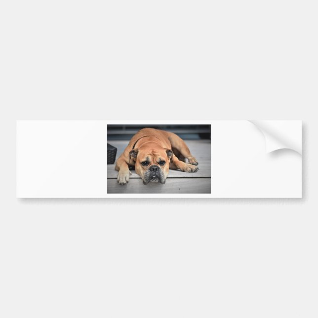 Adesivo Para Carro Bull Dog (Frente)