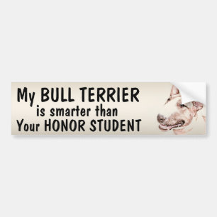Adesivo Para Carro Bull terrier - mais esperto do que o estudante -