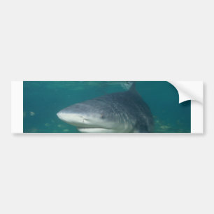Adesivo Para Carro Bullshark