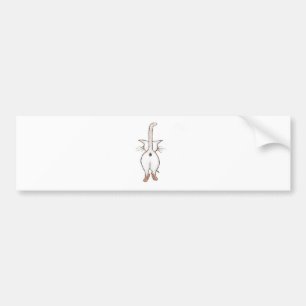 ADESIVO PARA CARRO BUMBUM QUE?