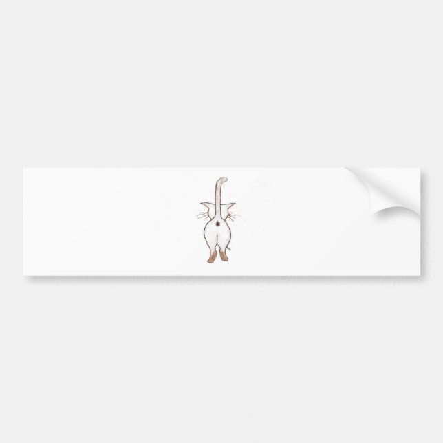 ADESIVO PARA CARRO BUMBUM QUE? (Frente)