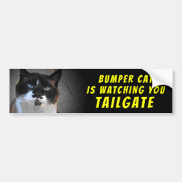 Adesivo Para Carro Bumper Cat está assistindo TAILGATE 46