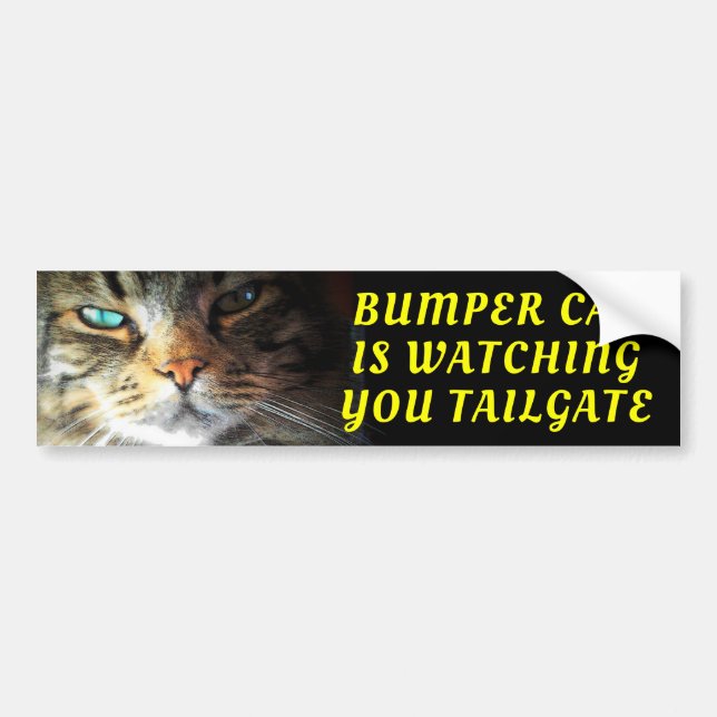 Adesivo Para Carro Bumper Cat está observando TAILGATE Fonte Oleo (Frente)
