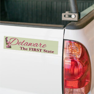 Adesivo Para Carro Bumper Sticker - DELAWARE