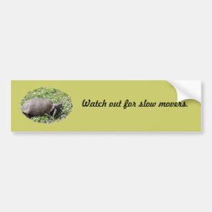 Adesivo Para Carro Bumper Sticker, Gopher Tortoise