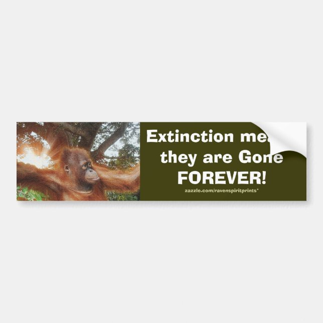 Adesivo Para Carro Bumper Sticker ORANGUTANS COM PERIGO (Frente)