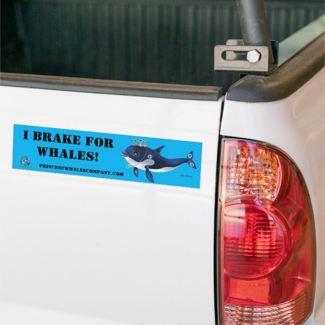 Adesivo Para Carro Bumper Sticker Princesa Starr I Braço Para Baleias (No caminhão)
