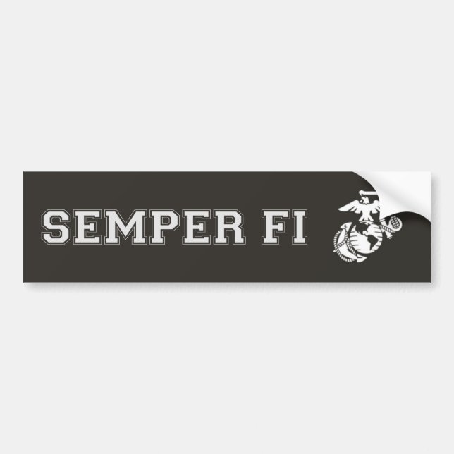 Adesivo Para Carro Bumpern Sticker (Frente)