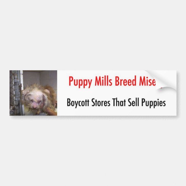 Adesivo Para Carro Bumpersticker (Frente)