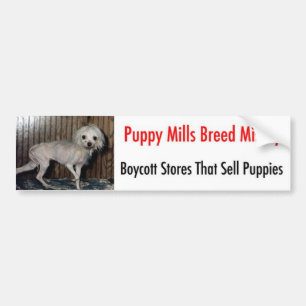 Adesivo Para Carro Bumpersticker