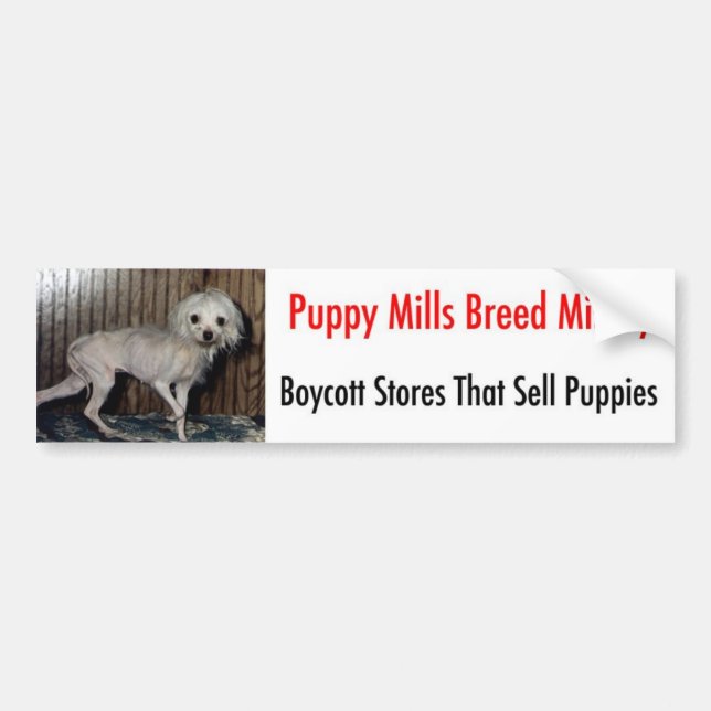 Adesivo Para Carro Bumpersticker (Frente)
