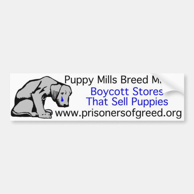 Adesivo Para Carro Bumpersticker (Frente)