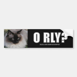 Adesivo Para Carro Bumpersticker de LOLCat 4